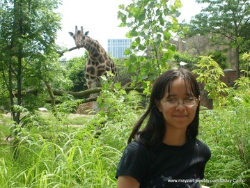 Picture of Me and a Giraffe Sticking His Tongue Out